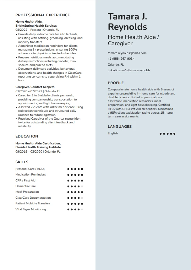 Caregiver Resume (No Experience) — Titanium template